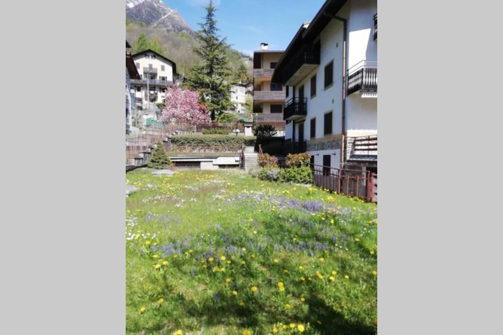 Ferrari'S: Bright Apartment With Magnificent View Chiesa in Valmalenco Luaran gambar